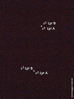 epsilon Lyrae